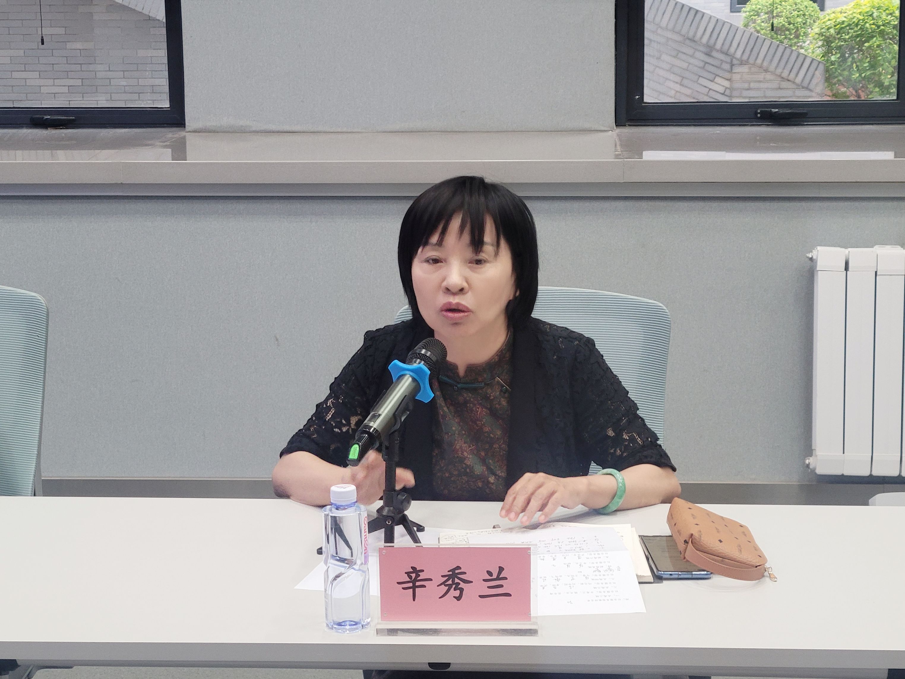 辛秀兰发言.jpg