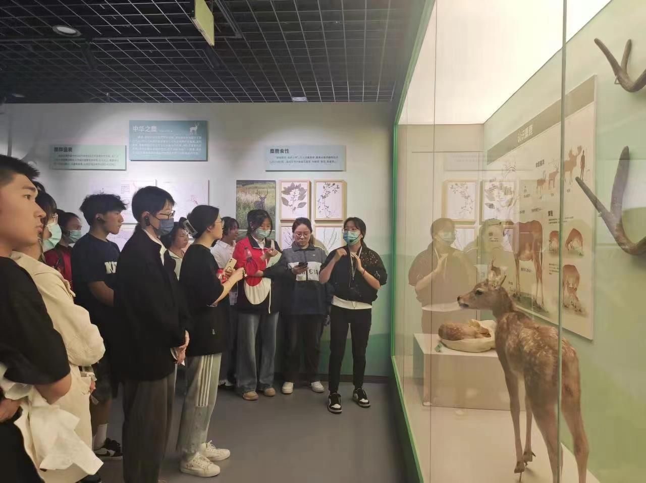 微信图片_20230514171156.jpg